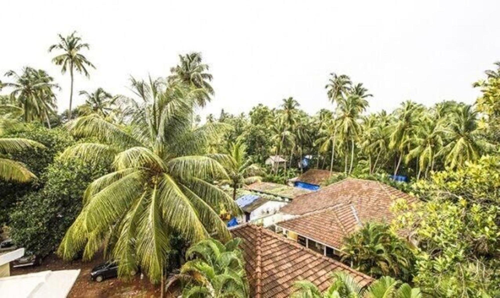 Fabexpress Orchid The Sky Hotel Calangute Exterior photo